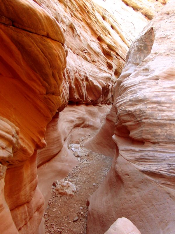 04160302LittleWildHorse (1117)